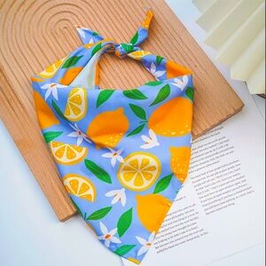 🆕 Lemon and Floral Print Pet Bandana